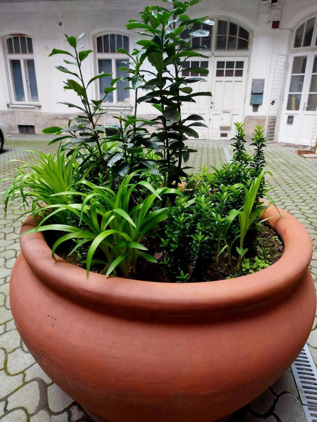 בודפשט Like Studio City Centrum, Wifi, Terrace מראה חיצוני תמונה